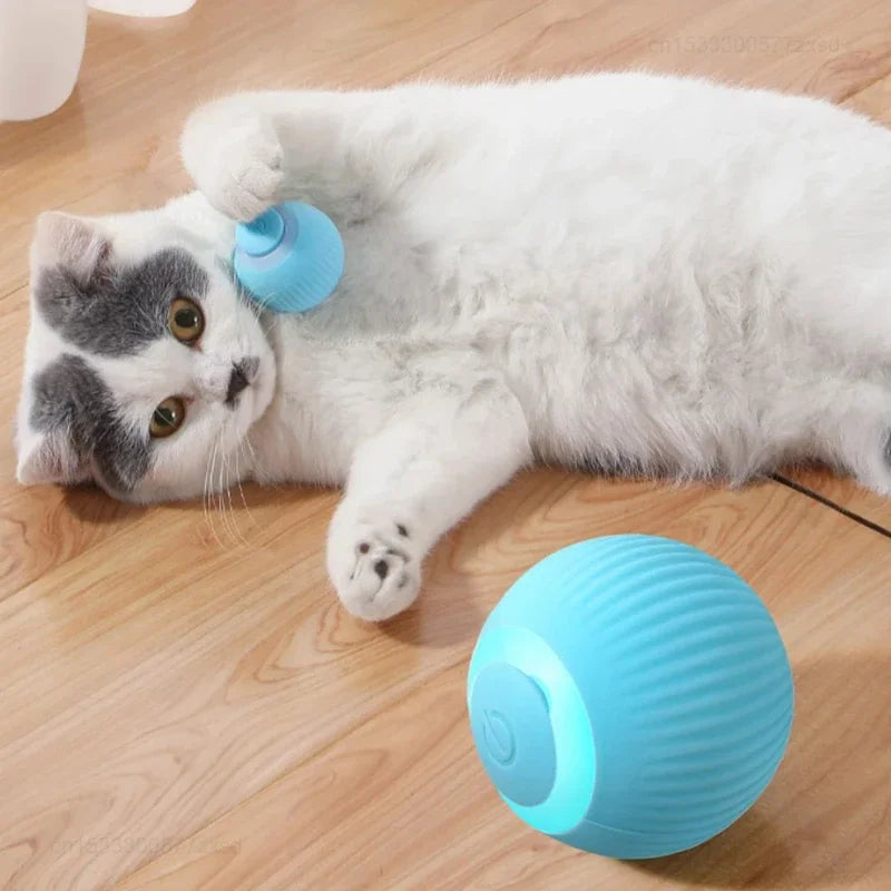 BALLE INTERACTIVE POUR VOTRE CHAT